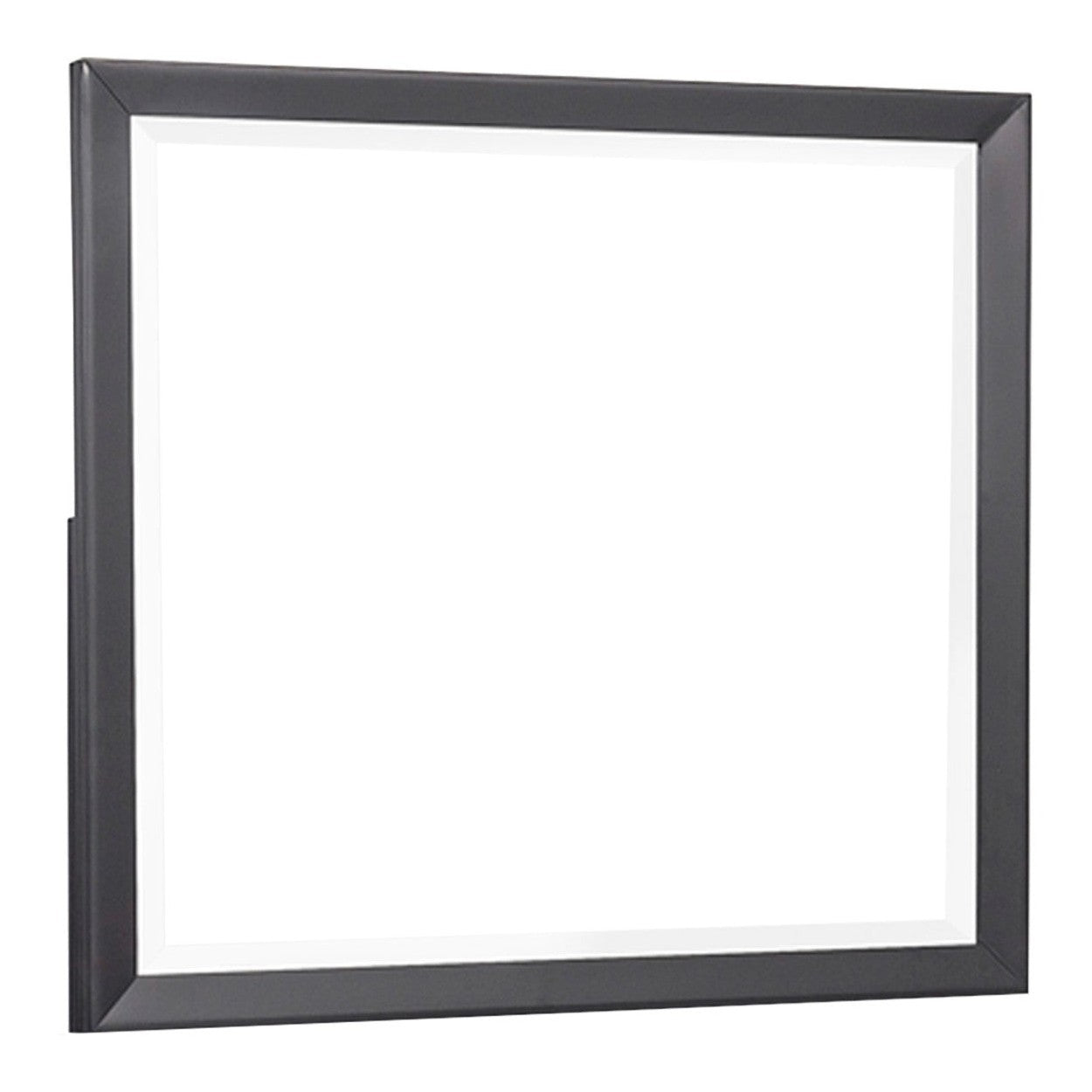 MIRROR 1711-6