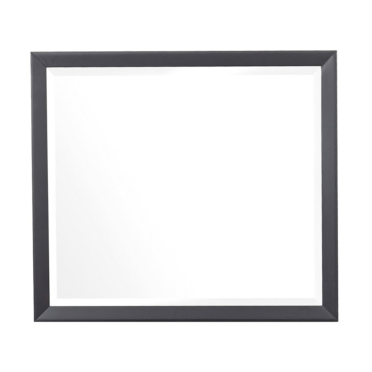 MIRROR 1711-6