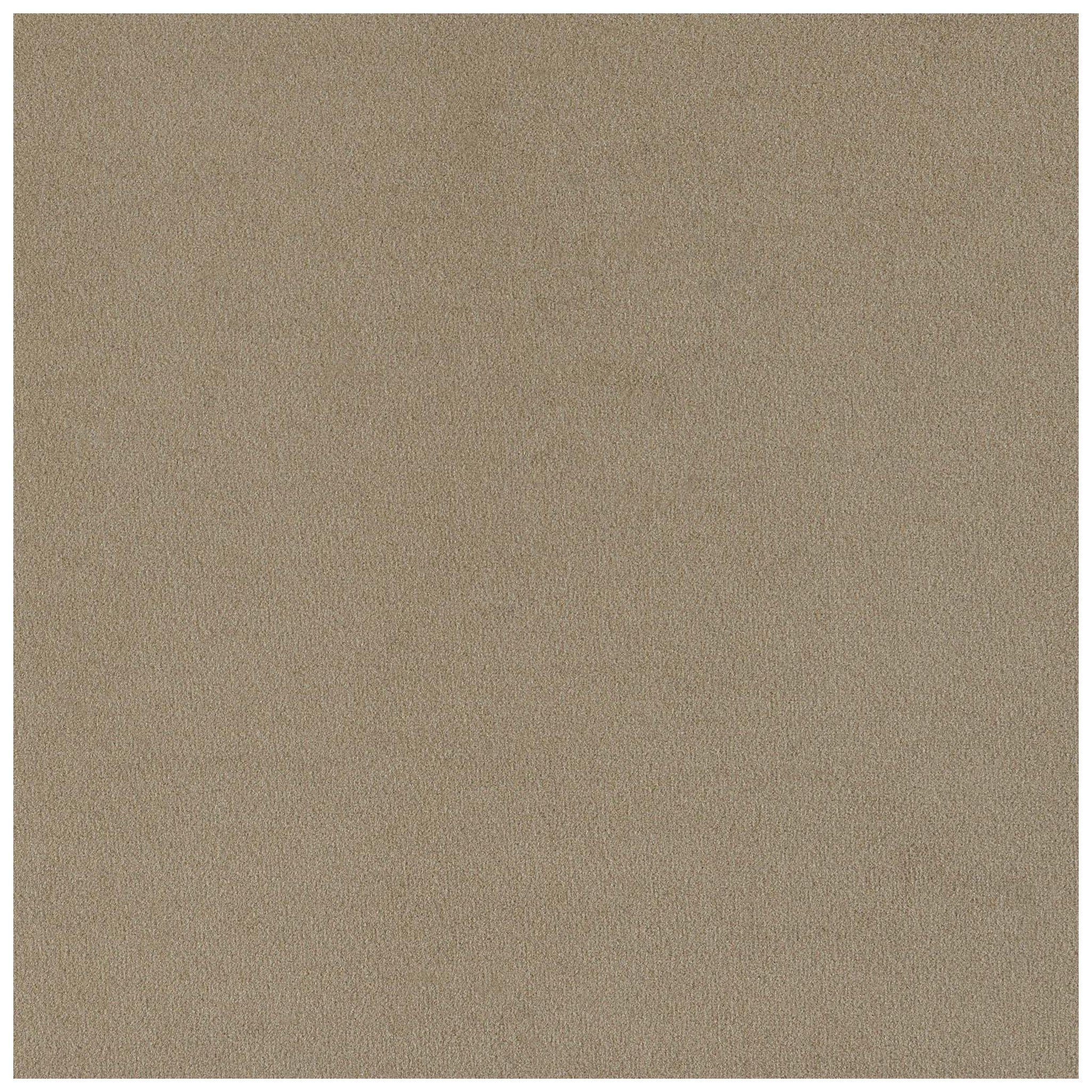 Rainn Upholstered Tight Back Chair Latte 509173