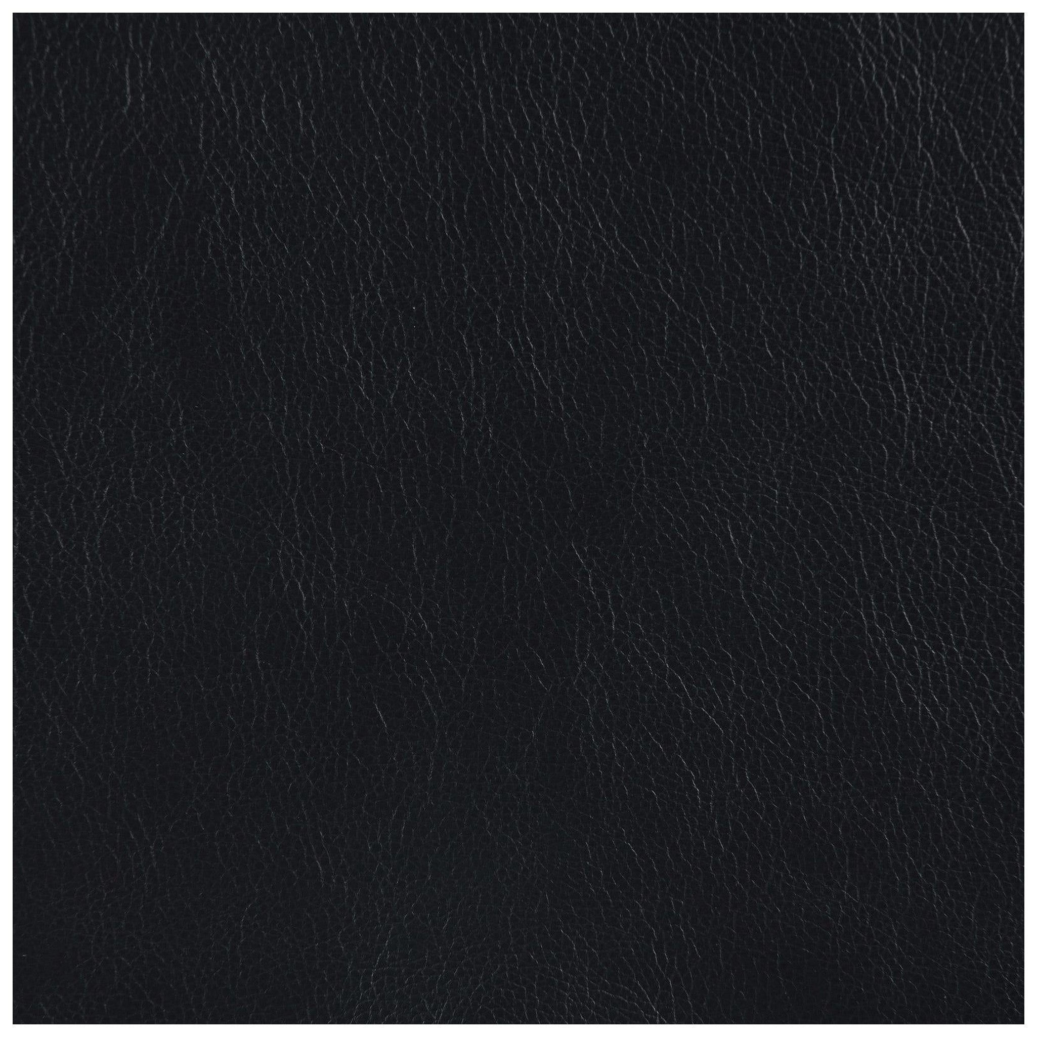 Shania 2-piece Track Arms Living Room Set Black 509921-S2