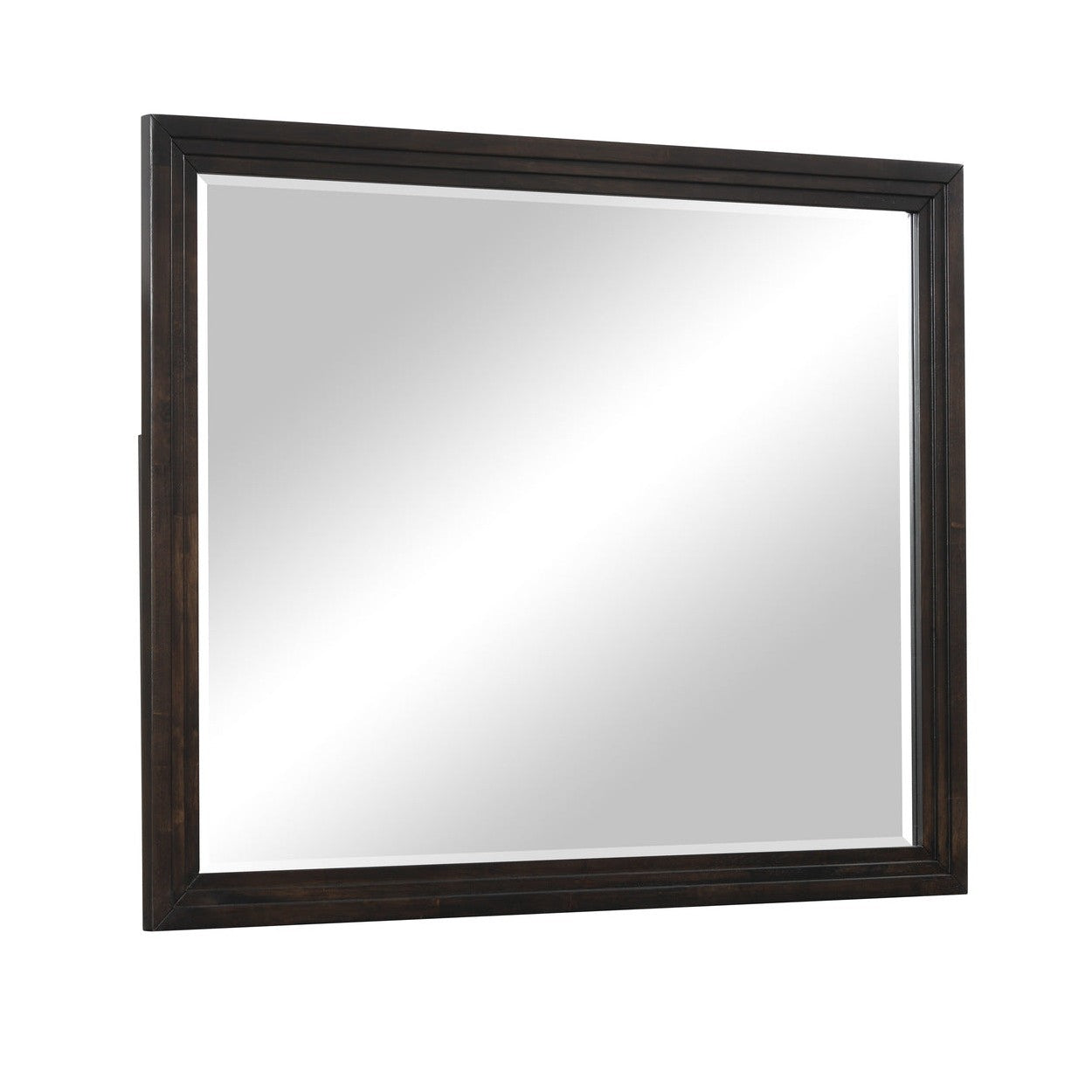 MIRROR 5424-6