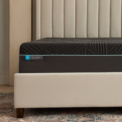 Malouf Ice Cloud Cool Sync