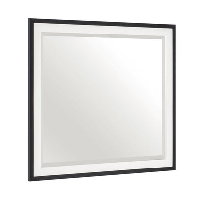 MIRROR, METAL FRAME 1456-6