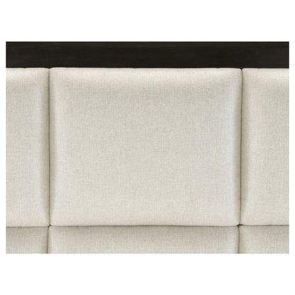 4pc Set (QB+NS+DR+MR) 1575-1*4