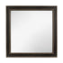 MIRROR 1695-6