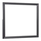 MIRROR 1711-6