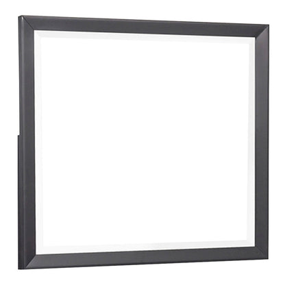 MIRROR 1711-6