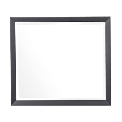 MIRROR 1711-6