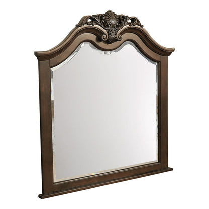 MIRROR 1869-6