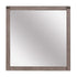 MIRROR 2042-6