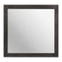 MIRROR 2059-6