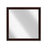 MIRROR 2145-6