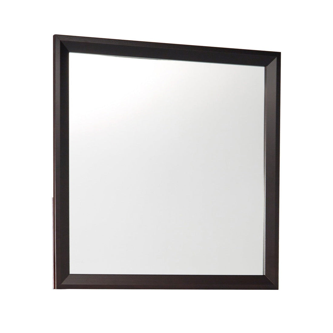 MIRROR 2145-6