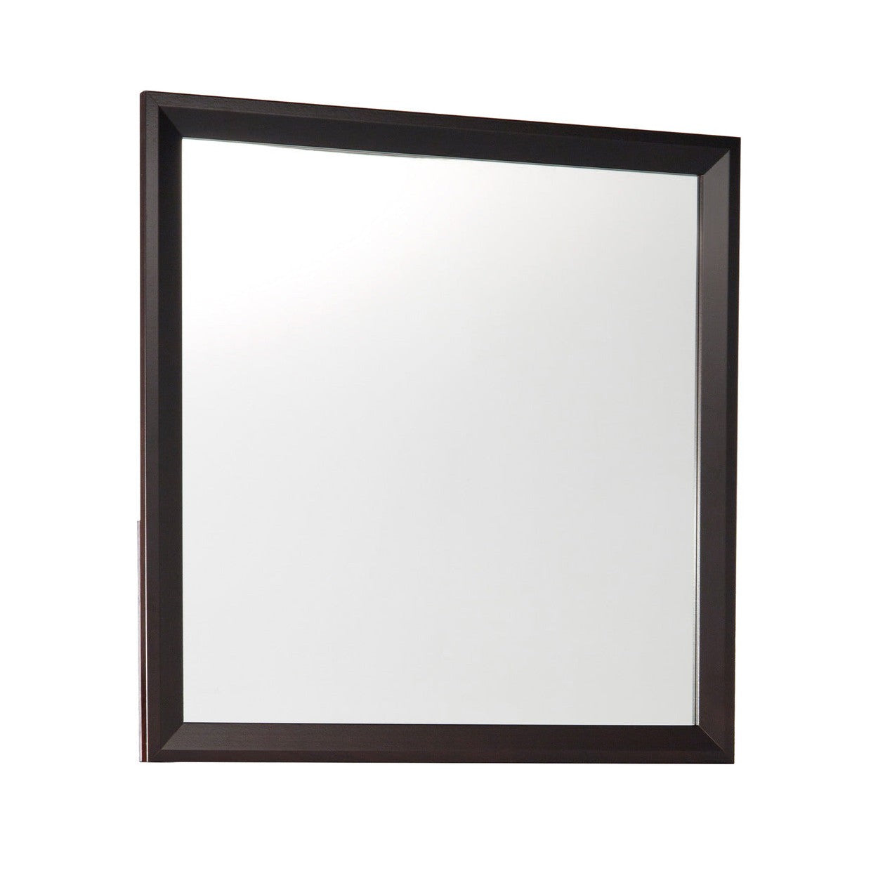 MIRROR 2145-6