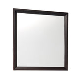 MIRROR 2145-6