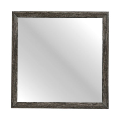 MIRROR 2145NP-6