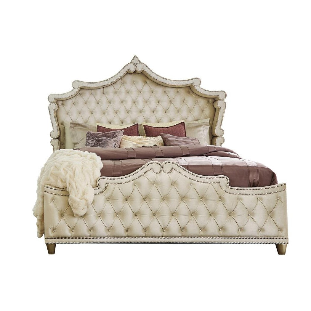 Antonella Upholstered Tufted Bedroom Set Ivory and Camel 223521KE-S4