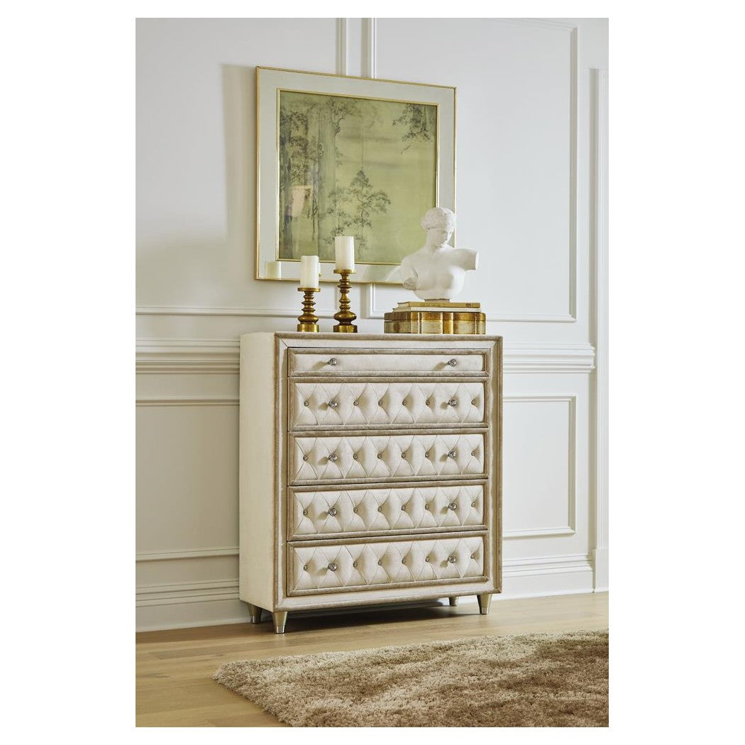 Antonella 5-drawer Upholstered Chest Ivory and Camel 223525