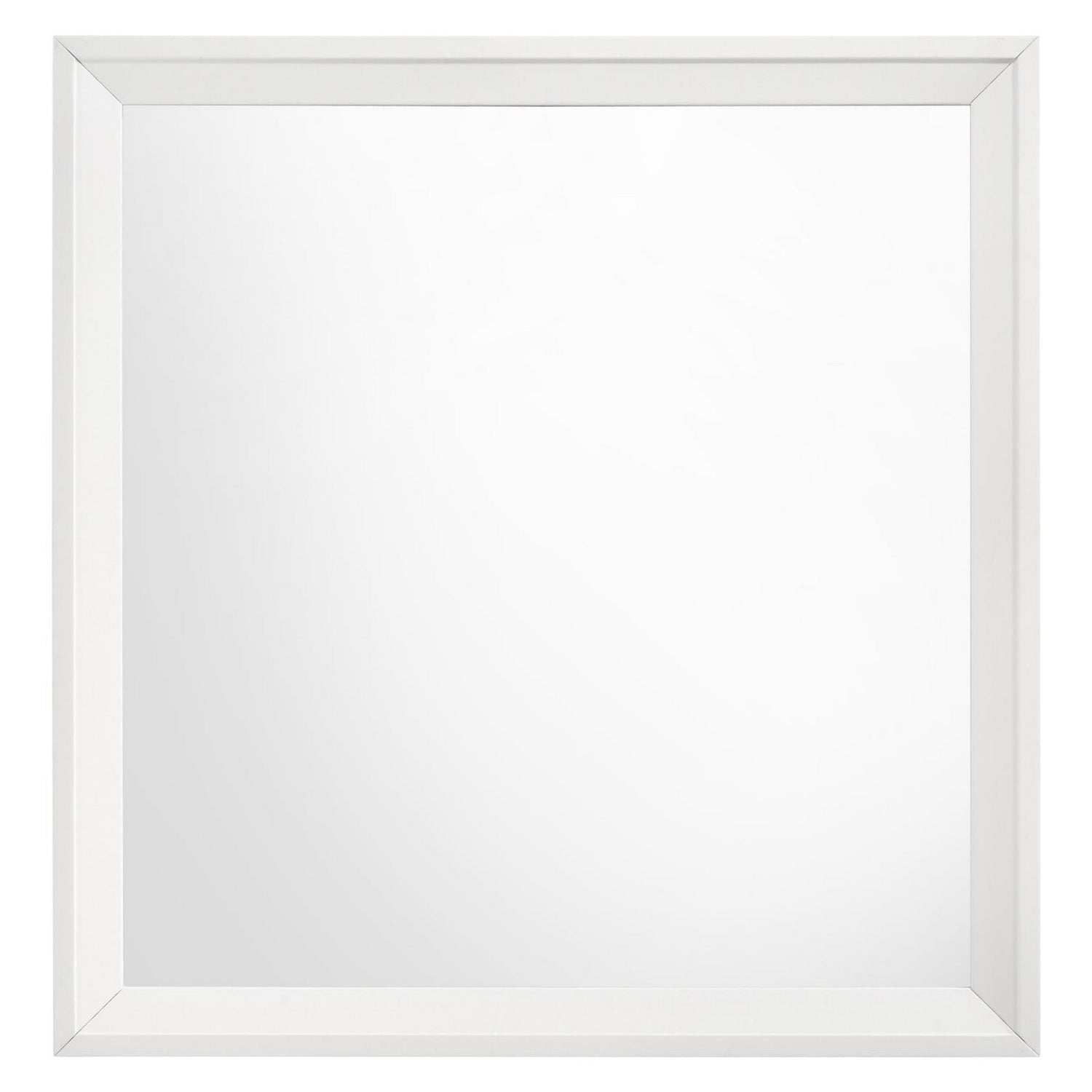 Coaster Mirror