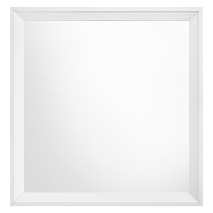 Coaster Mirror