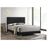 Kendall Tufted Panel Eastern King Bed Black and Gold 224451KE