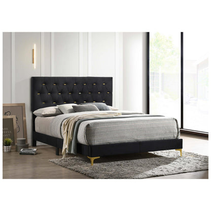 Kendall Tufted Panel California King Bed Black and Gold 224451KW