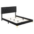 Kendall Tufted Panel Queen Bed Black and Gold 224451Q