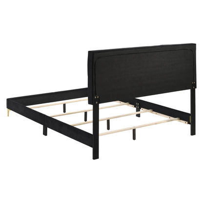 Kendall Tufted Panel Queen Bed Black and Gold 224451Q