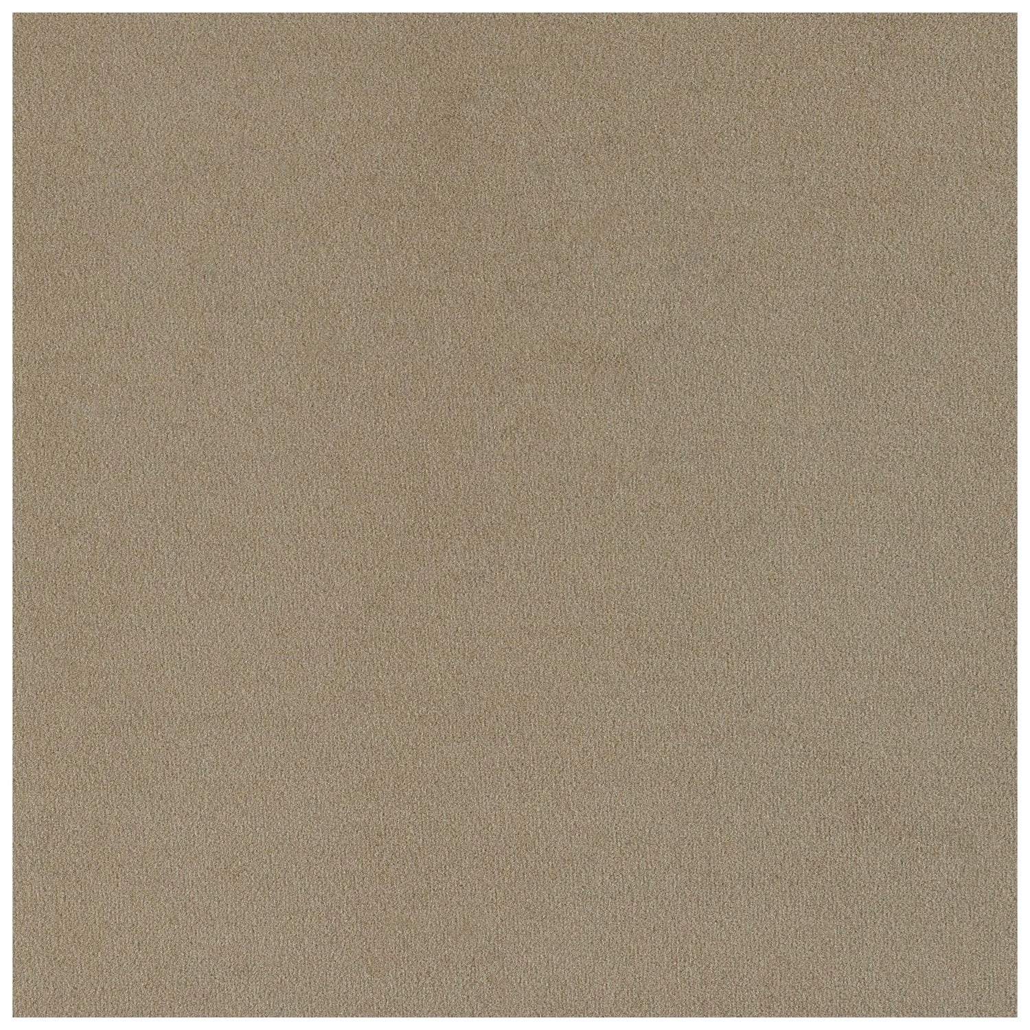 Rainn Upholstered Tight Back Chair Latte 509173