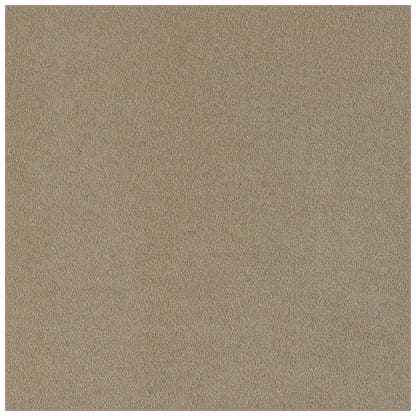 Rainn Upholstered Tight Back Chair Latte 509173