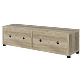Sachin Rectangular TV Console with Glass Doors 736283