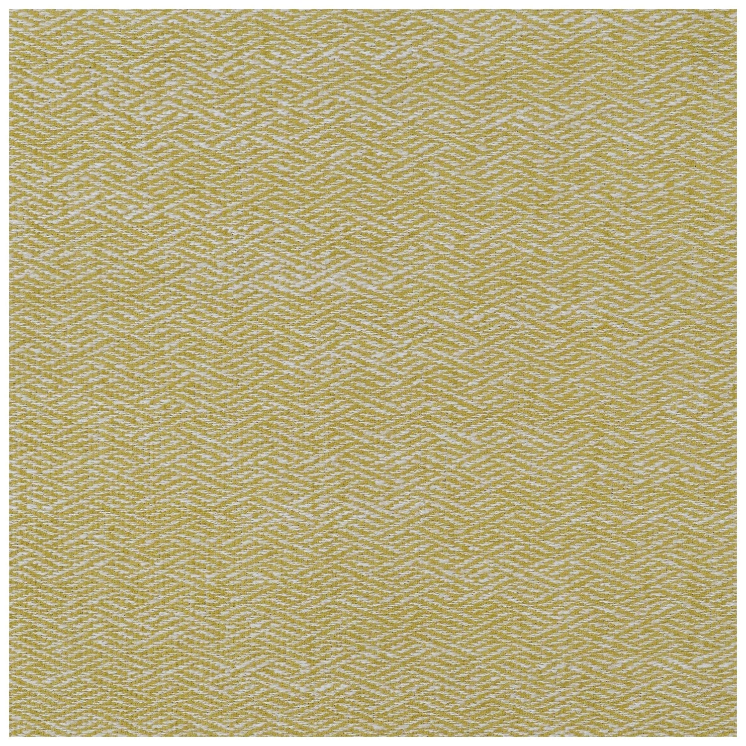 Sally Upholstered Track Arms Accent Chair Lemon 905639
