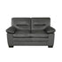 Love Seat 9328DG-2
