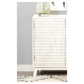 Gambon Rectangular 2-door Accent Cabinet White 953401