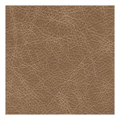 A3000323-SWATCH-BODY-A-500