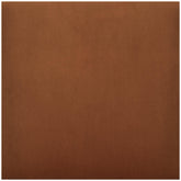 Aniak Accent Chair