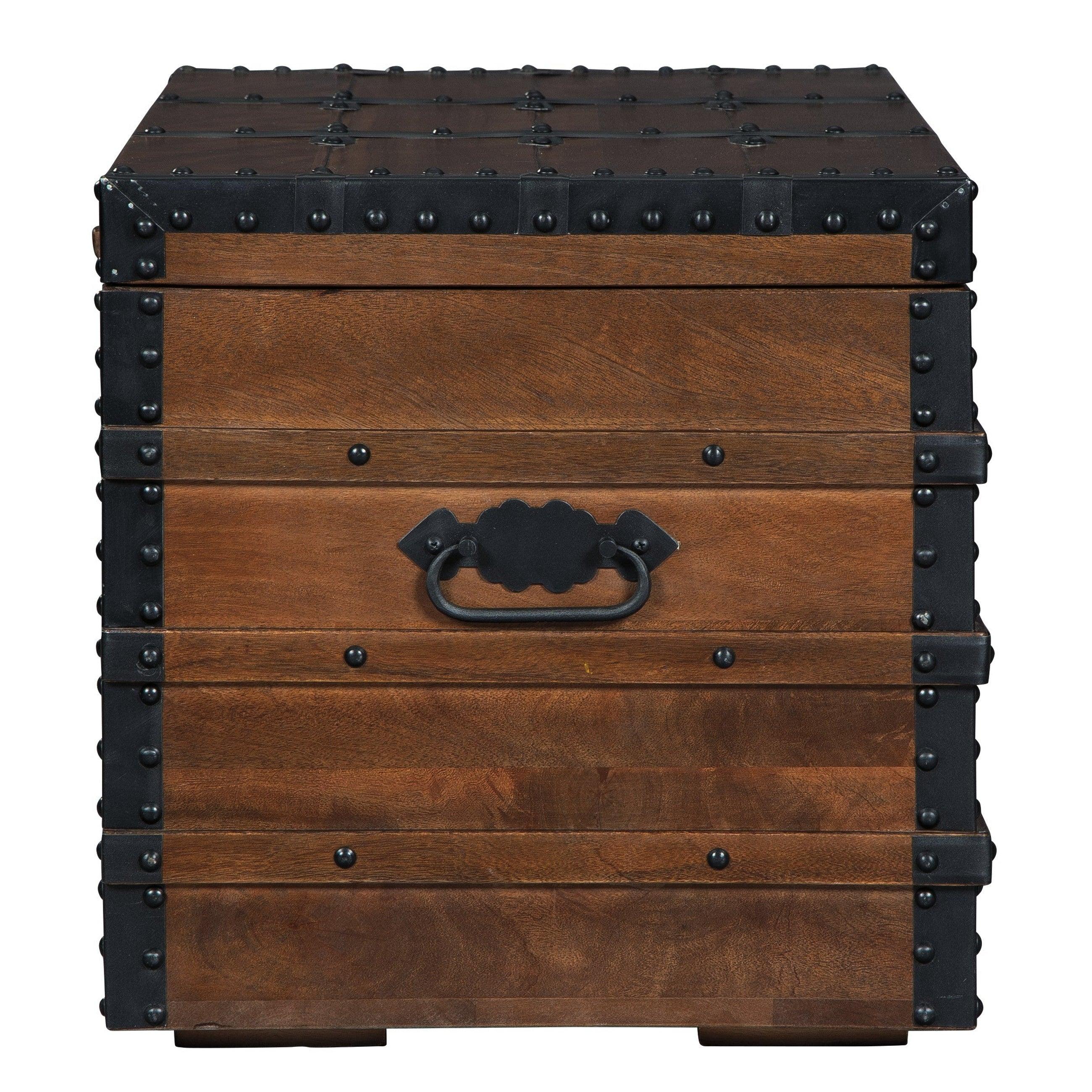 Kettleby Storage Trunk Ash-A4000096