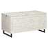 Coltport Storage Trunk Ash-A4000337