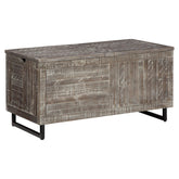 Coltport Storage Trunk Ash-A4000338