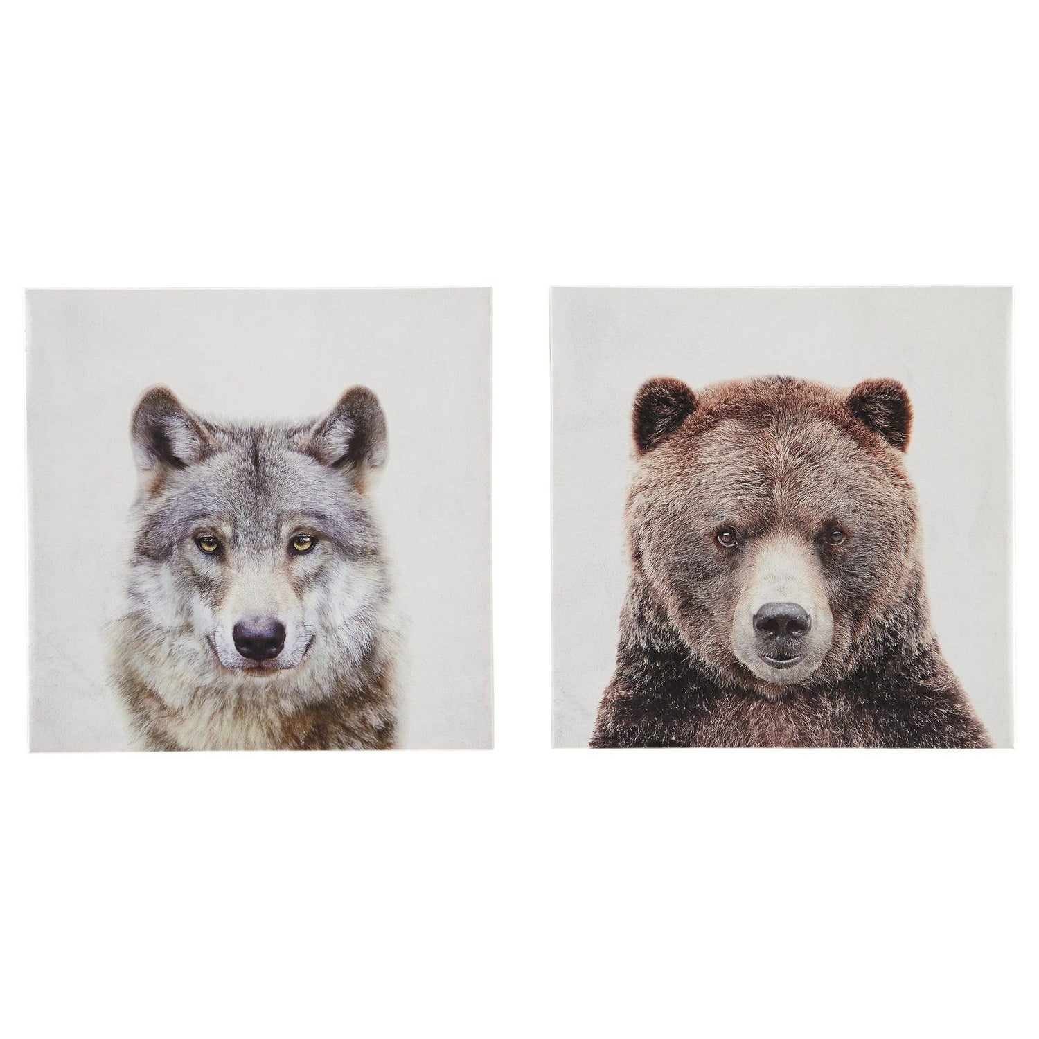Albert Wall Art (Set of 2) Ash-A8000261