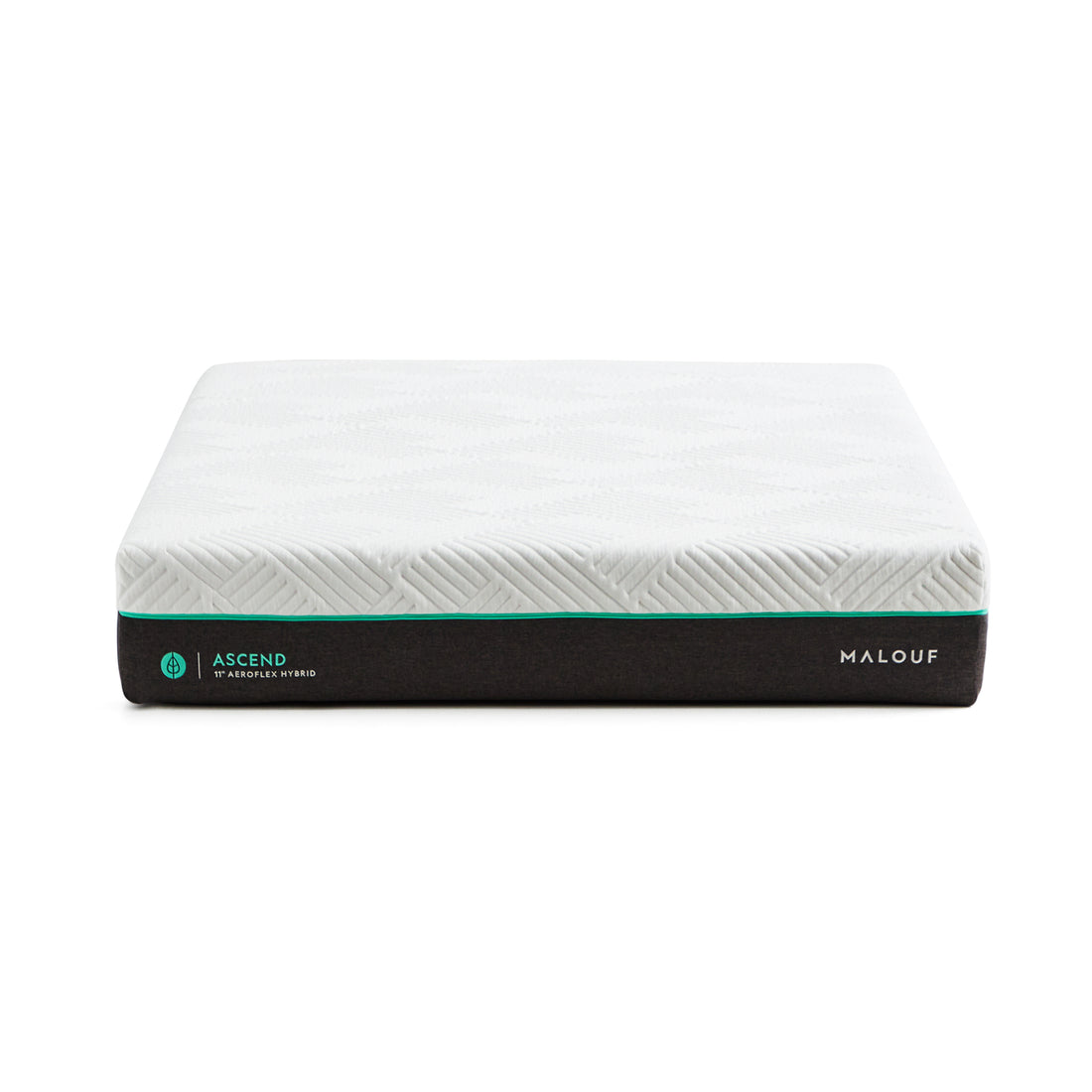 Ascendonwhite00071642088922