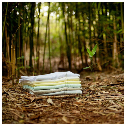 BambooHawaii-3-WB1409345731_original