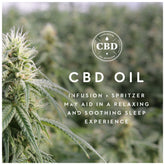 CBDBenefits_Infographic1579652393_original