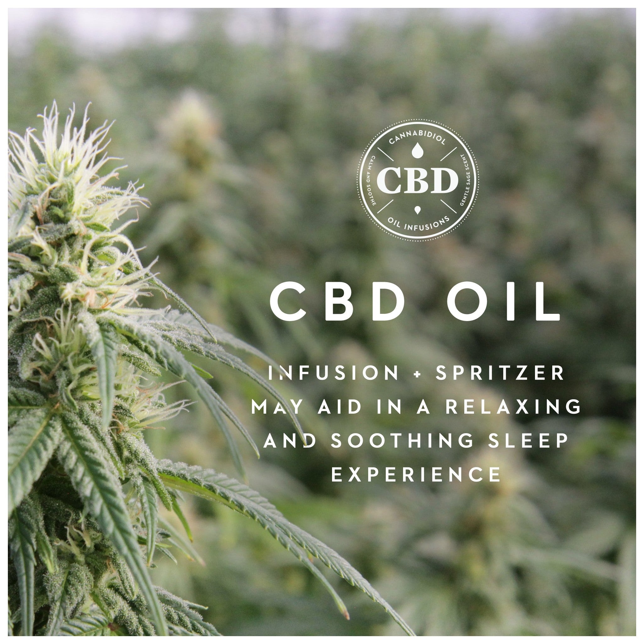 CBDBenefits_Infographic1579652393_original