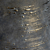 CVVZSA021S_1_3