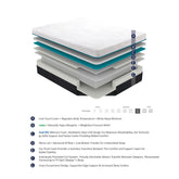 11" Full Hybrid Latex Micro Coils Mattress MT-MC11F