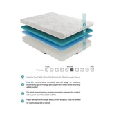 10" EK TWIN (TWIN XL) MATTRESS 2.5"+1.5"+6" MT-NG10ET