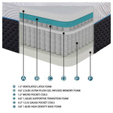 11" Full Hybrid Latex Micro Coils Mattress MT-MC11F