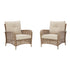 Braylee Lounge Chair with Cushion (Set of 2) Ash-P345-820