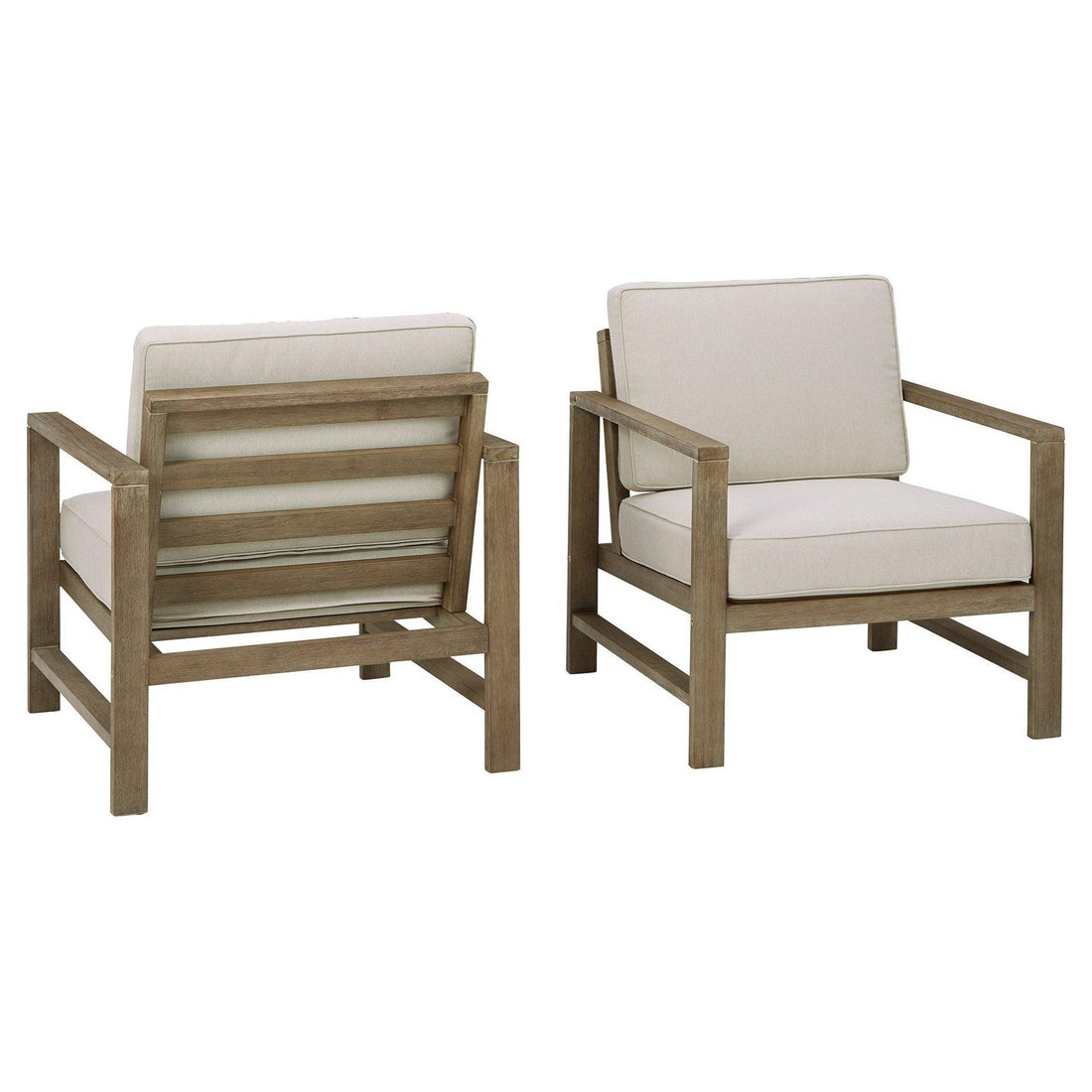 Fynnegan Lounge Chair with Cushion (Set of 2) Ash-P349-820